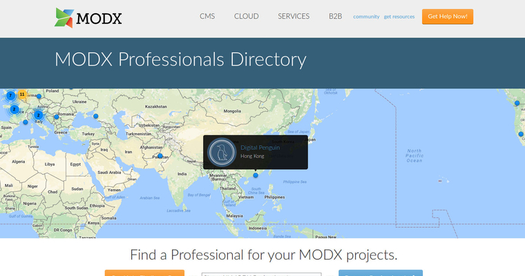 We Are MODX Professionals